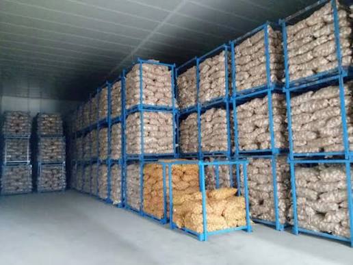 Potato Storage