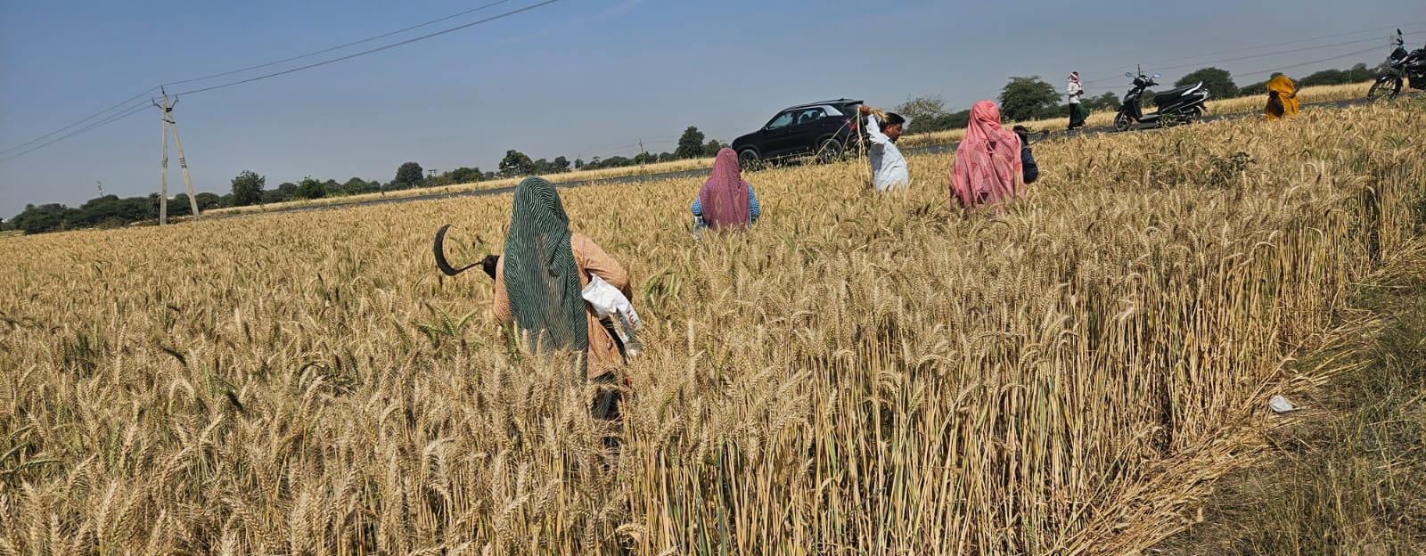 Malwa Agritech Agriculture